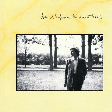 David Sylvian -  Brilliant Trees